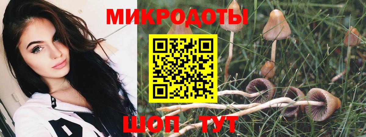 Псилоцибиновые грибы Magic Shrooms  Вход с VPN  Балтийск  Псилоцибиновые грибы Cubensis 