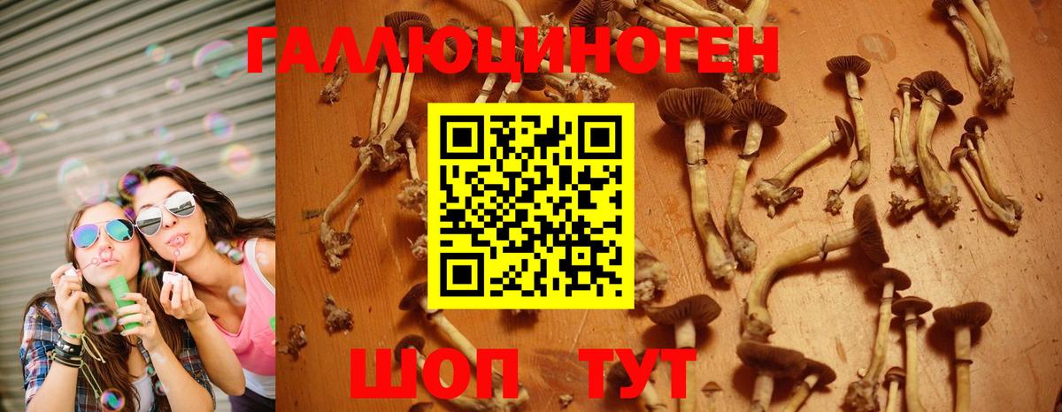 Псилоцибиновые грибы Magic Shrooms Балтийск